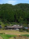 Img_3681warabuki.jpg