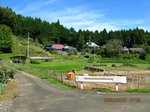 Img_3682shuuraku.jpg