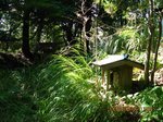 Img_3742hokora.jpg