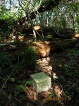 Img_3746sankaku.jpg