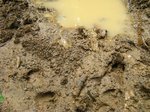 Img_3772hidume.jpg