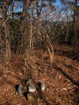 Img_3781sankaku.jpg