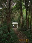 Img_3818torii.jpg