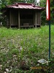 Img_3828sankaku.jpg