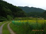 Img_3851hanakarienbou.jpg