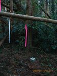 Img_3901sankaku.jpg
