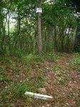 Img_3902sancho.jpg