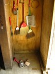 Img_4230surippa.jpg