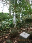 Img_4236sankaku.jpg