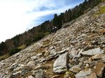 Img_4243gare.jpg