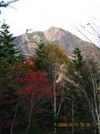 Img_4375nyohou.jpg