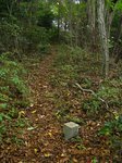 Img_4410sankaku.jpg