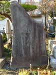 Img_4441とりのこ道.jpg