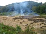 Img_4464yaki.jpg