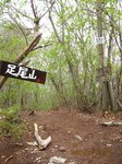 Img_4847ashioyama.jpg