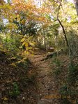 Img_4901峠.jpg
