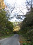 Img_4904峠.jpg