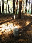Img_4954sankaku.jpg