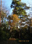 Img_4969matsu.jpg