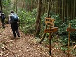 Img_4996分岐.jpg