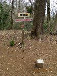 Img_4997横根山.jpg