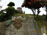 Img_5035桃源.jpg