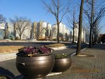 Img_5121machi.jpg