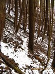 Img_5183雪.jpg