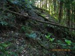 Img_5294山道.jpg