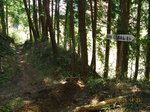 Img_5374山道.jpg