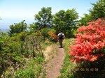 Img_5804tutuji.jpg