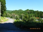 Img_6329茗荷.jpg