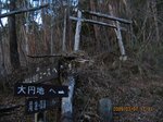 Img_6342torii.jpg