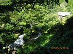 Img_6343茗荷川.jpg