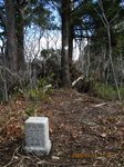 Img_6399sankaku.jpg