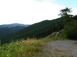Img_6415遠景.jpg
