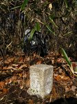 Img_6429sankaku.jpg