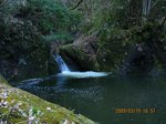 Img_6442kamegafuchi.jpg