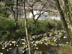 Img_6848hatsudensho.jpg