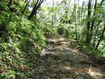Img_6962dosha.jpg
