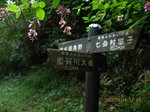 Img_7052douhyou.jpg
