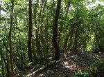 Img_7094idonosan.jpg