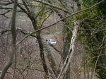 Img_7107pato.jpg