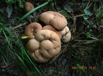 Img_7188pan.jpg