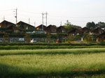 Img_7214garten.jpg