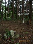 Img_7243sankaku.jpg
