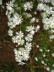 Img_7286hana.jpg