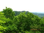 Img_7555sankakuhou.jpg