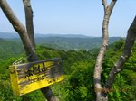 Img_7557okame.jpg