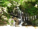 Img_7666taki.jpg
